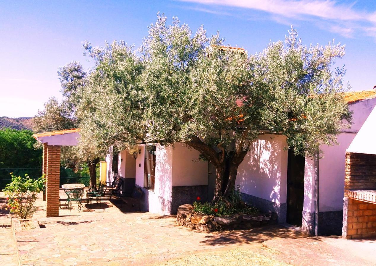 Villa Cortijo "Era Grande 2" Cordova Esterno foto