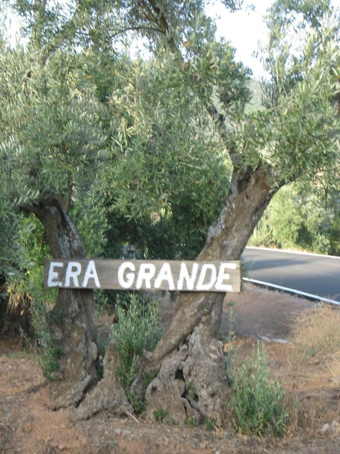 Villa Cortijo "Era Grande 2" Cordova Esterno foto